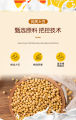 Vitamin B Soy Milk Vitamin B Soy Milk Powder Breakfast 维维豆奶小时候的味道维他型豆奶粉360g袋装早餐. 