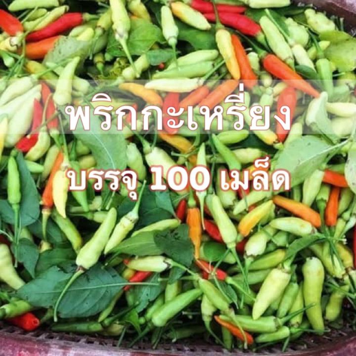 เมล็ดพันธุ์พริกกระเหรี่ยง เผ็ดจัดจ้าน