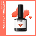 Modelones Polish 15ml Nail Art Spring Summer Color Changing Gel Soak Off Gel Polish Kit. 