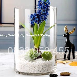 Bình Bông Thủy Tinh Trang Trí Bình Cắm Hoa Thủy Tinh Trụ tròn Lọ Hoa Hình Trụ trơn bể cá mini hồ cá ống trụ tròn thủy tinh