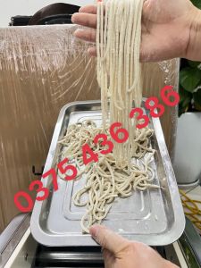 Máy cán bột sợi bánh canh bún tươi sơi mì chạy điện 220v FKM200