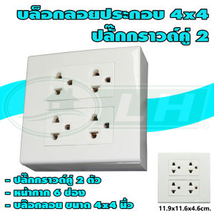 บล็อกลอย ขนาด 4x4 นิ้ว พร้อม ปลั๊กกราวด์คู่ 2 ตัว (G-36)