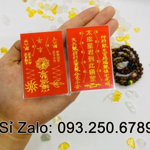 ⭐TẾT 2025 ⭐ COMBO 10 Thẻ kim bài thái tuế 2025 [bằng plastic]