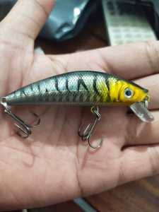 minnow minow sinking /singking