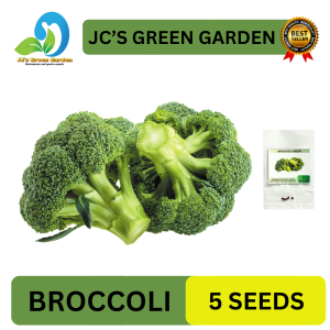 VALUE PACK (5 SEEDS) - F1 BROCCOLI SEEDDS/GREEN TOP VARIETY/HYBRID/FIRM FLOWER/EASY TO GROW/MORE PROFIT