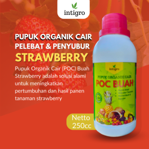 Pupuk Penyubur Tanaman Buah Strawberry / Obat Penyubur Pelebat Buah Strawberry Pupuk Booster Buah