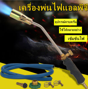 ที่เผาขาหมู เผายางมะตอย ใช้ได้กับข้อต่อแก๊ส หัวจุดแก๊สไฟฉายเครื่องมือจุดไฟดีซีลอินเทอร์เฟซThicken Liquefied Gas Single Openและเหล็กทองเหลืองชุบสำหรับเนื้อกำจัดขนบ้านรั่วซ่อม