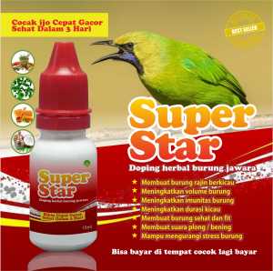 superstar vit spesial cocak ijo bikin cepat gacor