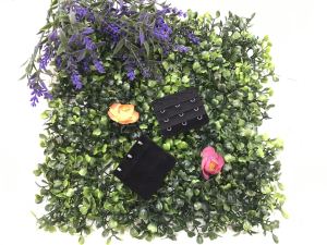 Isabelle.Q 3 Hook Bra Extender