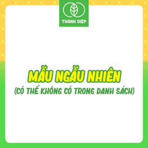 1 CẶP áo gối 30x50cm chần gòn có khóa mềm mại - Mùng mền Thanh Diệp