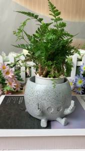 Smily Face Planter Pot with Middle Fingers Up Face Plant Pot Resin Flower Head Planters for Indoor Outdoor Plants Succulent Pots for String of Pearls Plant Live Gift Ideas for Christmas