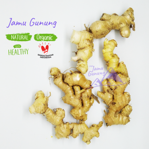 Lempuyang Emprit Segar 500gr Organik dari Lereng Gunung Kidul