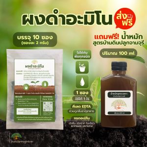 (ส่งฟรี)ผงดำอะมิโน (บรรจุ 10 ซองเล็ก/ถุง) + น้ำหมักสูตรบ้านดินปลูกจามจุรี(100 ml.) จัดส่ง 4-7 วัน