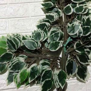 Cành xi trang trí điểm màu xanh trắng làm decore combo 10 cành