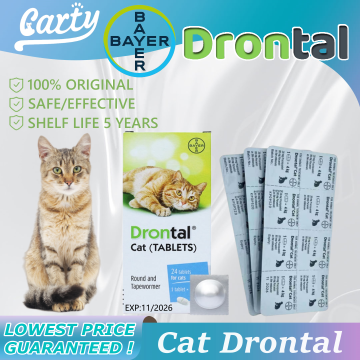 Drontal Cat Dewormer Tablets for Cats Chewable 1 Box/24