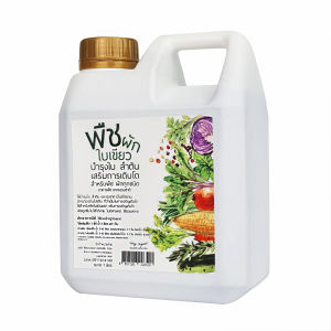 INSAY ORGANIC ปุ๋ยน้ำพืชผักใบเขียว บำรุงใบและลำต้น ส่งสริมการเจริญเติบโต ใช้กับพืช