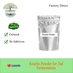Active Water Kefir Grains (Export Quality + Live Culture + Freshly Packed + Guidance by Professional) Beginner Friendly.