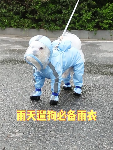 Con chó Áo mưa trùm đầu áo mưa lớn ponchos cho nhỏ để chó lớn và con chó con chó con áo mưa chui đầu áo mưa áo mưa