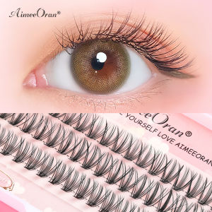 【Received in 2 days】AimeeOran Scarecrow Hair Grafting Extension 20D False Eyelash Individual 0.1mm 60pcs