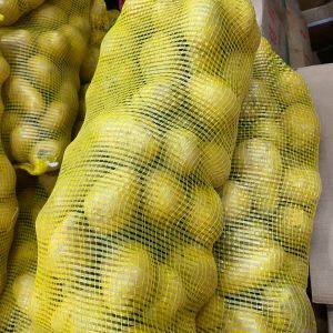 มันฝรั่ง potato มันฝรั่งสด มันฝรั่งนอก คัดพิเศษหัวใหญ่ ทำอาหารได้หลายเมนู