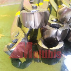 Catut Bonsai: Panduan Perawatan & Desain