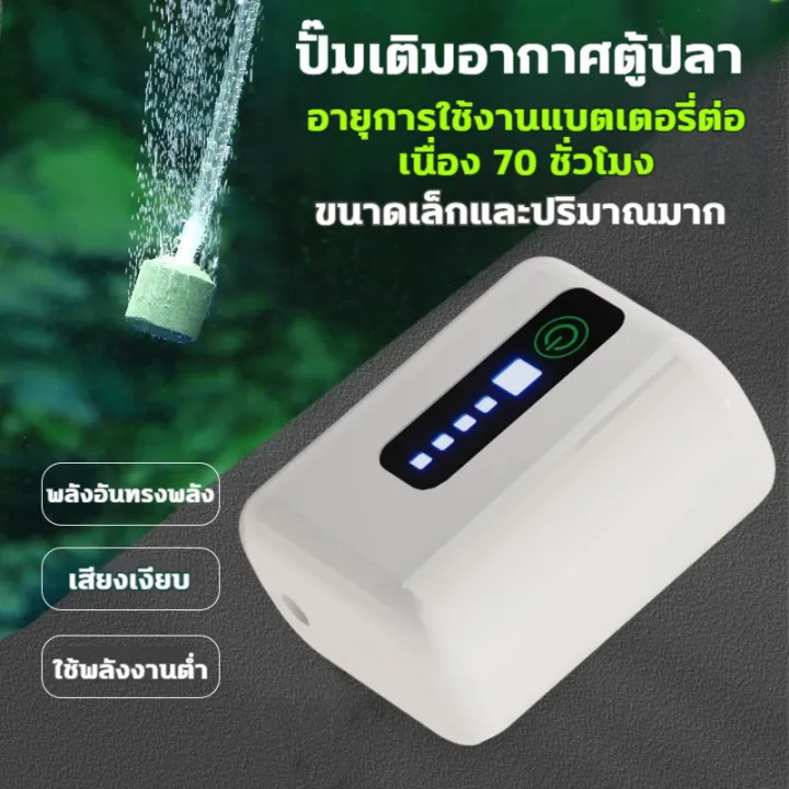 ปั๊มออกซิเจนภาพที่ 2