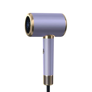 Pengering rambut rumah tangga pengering rambut daya tinggi portabel kompak pengering rambut angin tinggi profesional salon rambut tukang cukur perawatan rambut suhu konstan ion negatif diam cepat kering pengering rambut udara panas dan dingin