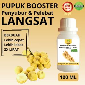 Pupuk Langsat Cepat Berbuah / Pupuk Pelebat Buah Langsat / Pupuk Booster Langsat Cair