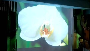 Máy chiếu Panasonic vx400 mới 95% giá rẻ