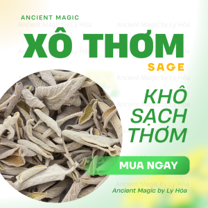 100g SAGE (LÁ XÔ THƠM) KHÔ | Gia vị Spell (Witchcraft)… | Ancient Magic by Ly Hỏa