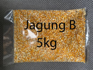 Jagung B | Jagung C | Makanan Ayam | Chicken Feed | Chicken Corn | Jagung Halus | Jagung Kasar | Jagung Ayam