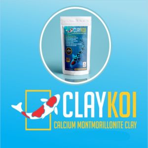 CLAY KOI PLUS 800 Gram (HITAM) Activated Charcoal & CLAY KOI Premium 800 Gram (PUTIH)