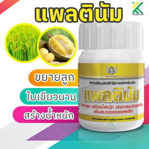 แพลตินัม - เพิ่มขนาดผล ยืดอายุการทำงานของคลอโรฟิลด์ ใบเขียวนาน