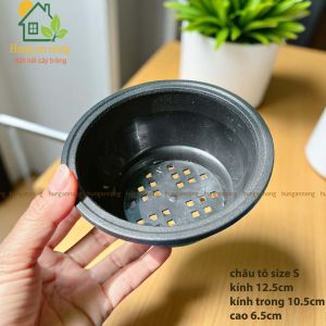 CNTTO - Combo 5 chậu tô nhựa PP cao cấp chắc chắn chuyên trồng cây sen đá xương bonsai cây để bàn