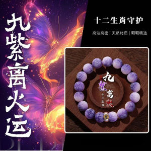 已开光祈福手串 Bodhi String Zodiac Buddha Bead Bracelet Plate Playing Literature菩提手串十二生肖佛珠手链 盘玩 文玩