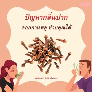 สมุนไพรไทยแห้ง | ดอกกานพลู อบแห้ง สมุนไพรไทย ช่วยลดกลิ่นปาก หอมสดชื่น (1ซอง) พร้อมส่ง