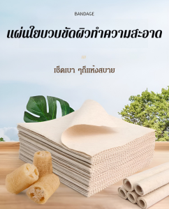 แผ่นใยผักที่ดูดซับน้ำมันและทำความสะอาดง่ายและผ้าใยบวบสำหรับล้างจาน