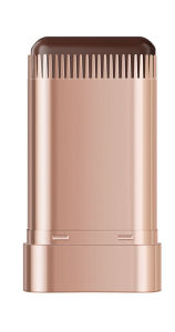 Botanical Disposable Hairdyeing Stick