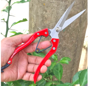 Kéo cắt tỉa cành cây kéo tỉa dăm mũi nhọn dài 24-34cm