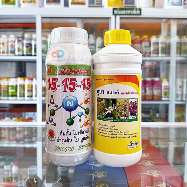 ชุดปุ๋ยน้ำไนโปรฟอส 15-15-15 และนูบา-สเปรย์ แคลเซียมโบรอน
