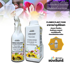 แบ่งจันทร์ อาหารบำรุงดอก 1 ชุดได้แบบสเปรย์500 ml และแบบผสม 1 ลิตร ดอกสวยสดใส กลีบดอกแข็งแรง