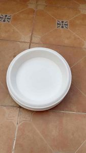 จานรองกระถาง 12” สีขาว แพ็ค 5 ใบ สินค้าพร้อมจัดส่ง