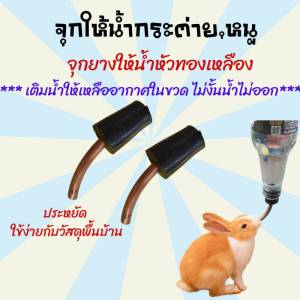 จุกป้อนน้ํากระต่าย จุกให้น้ํากระต่าย ขวดให้น้ํากระต่าย ขวดน้ํากระต่าย ขวดน้ําหนู จุกป้อนน้ํากระต่าย จุกน้ําหนู จุกน้ํากระต่าย