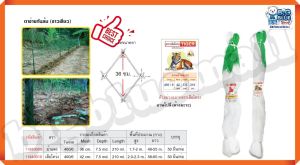 ตาข่ายค้างผัก ตาข่ายค้างแตง ค้างถั่วฝักยาว ตาข่ายไม้เลื้อย ตะข่ายค้างแตง อวนค้างแตง ตาข่ายปลูกผัก