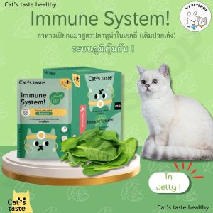 Cat’s Taste Healthy อาหารเปียกแมว ( 1 ซอง ) - VTPetshop