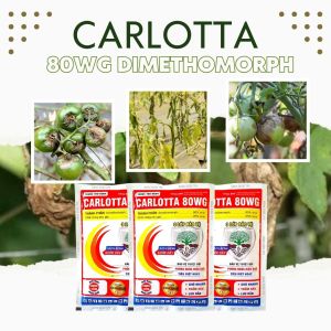 Thán Thư Cà Chua Sương Mai Cà Chua Héo Xanh Héo Rũ Cà Chua Đốm Lá Cà Chua Đốm Trái Cà Chua Carlotta 80WG