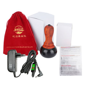 PASTSKY Bianstone Massager Hot Stone Scraping Massage Electric GuaSha Body Massager Moxibustion Hot Compress 5 Temperatures Dredging Meridian Back Neck Face Massage Relax Muscles Skin Lift Care