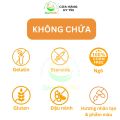 Viên uống bổ sung chất xơ thuần chay Now Psyllium Husk Caps 500mg 200 viên từ vỏ mã đề hữu cơ.. 