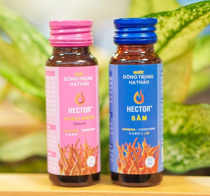 (Hàng Chính Hãng) - Viên Uống 100% Đông Trùng Hạ Thảo HECTOR Lọ 30 viên