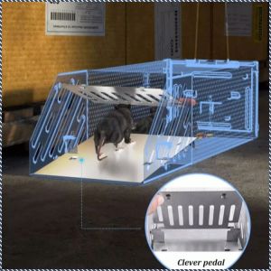 Mousetrap Intelligent Recognition High Sensitivity Continuous Capture Maintainable